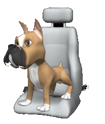 Dog Car Sickness dog travel crate dog seat belt Buckling Up